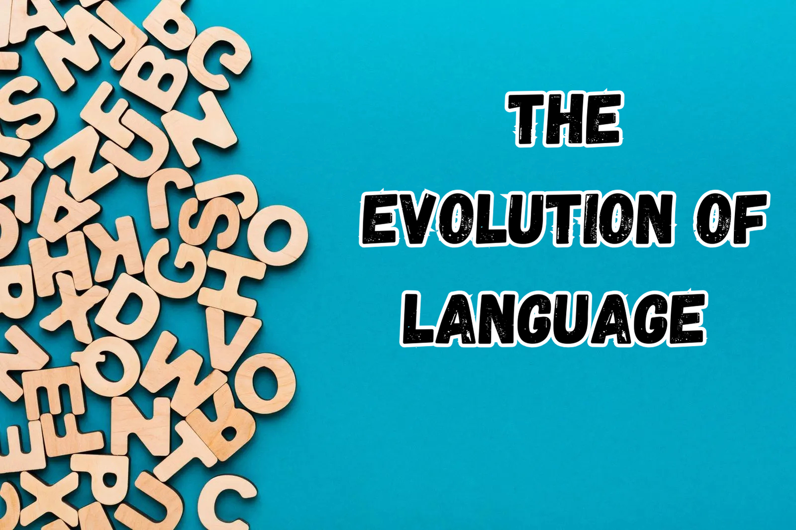 the evolution of language